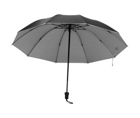 Umbrella with silver inside